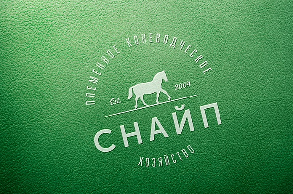 Дизайн для крупнейшего коневодческого хозяйства Тверской области